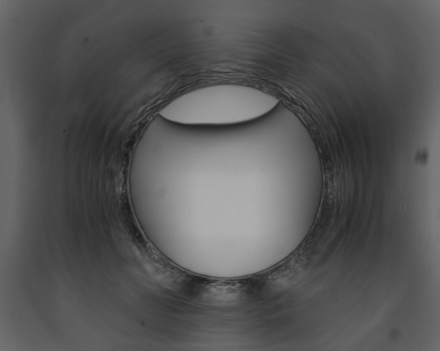 X0000091660606200708230952