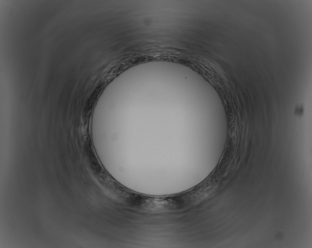 X0000091660607200708230952