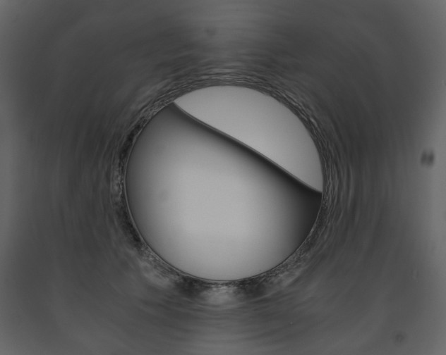 X0000091660609200708230952