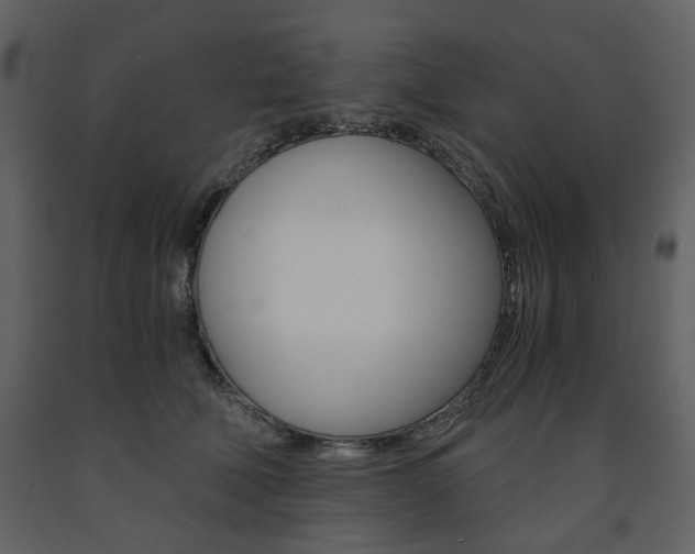 X0000091660610200708230952
