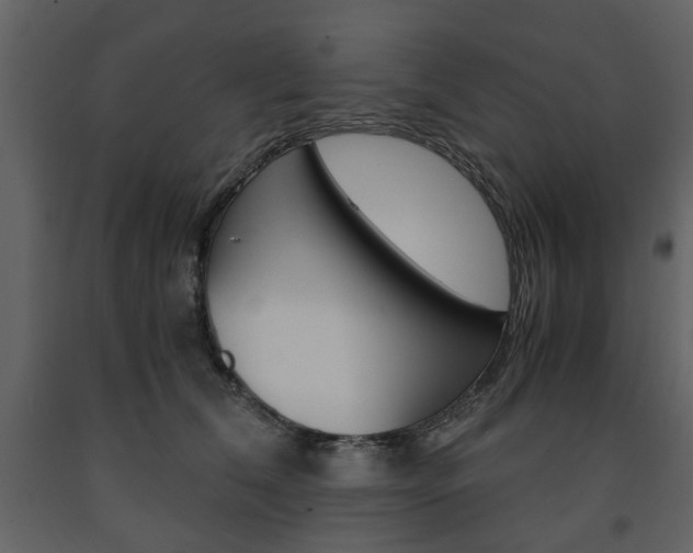 X0000091660612200708230952