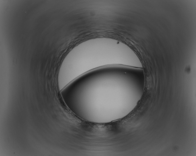 X0000091660613200708230952