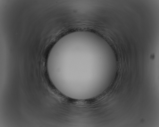 X0000091660615200708230952