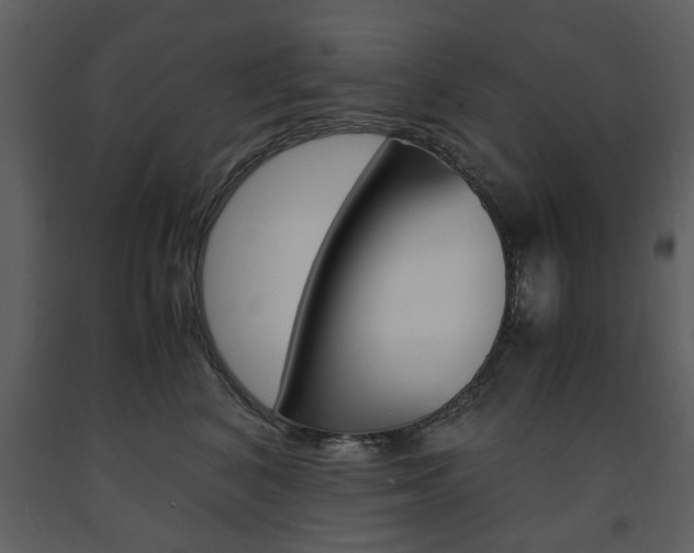 X0000091660616200708230952