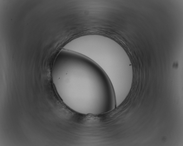 X0000091660617200708230952