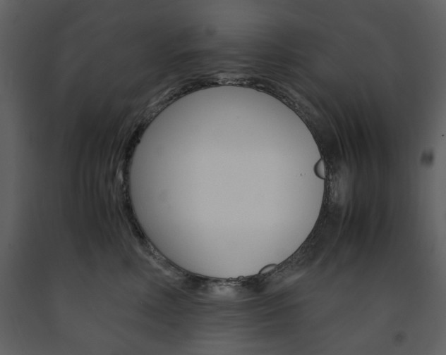 X0000091660618200708230952