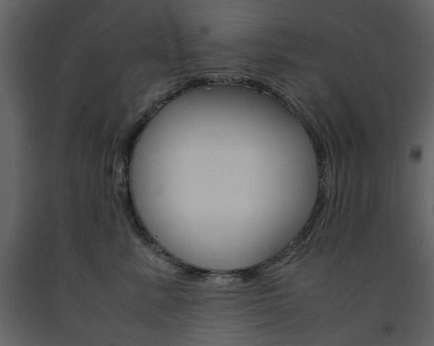X0000091660619200708230952