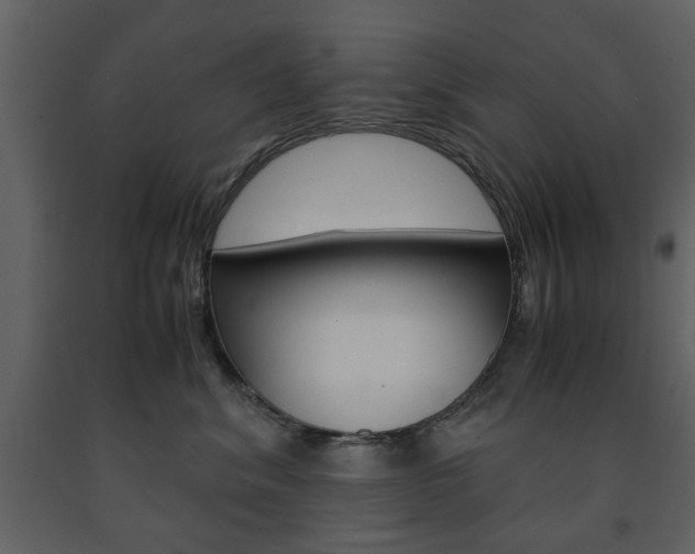 X0000091660620200708230952