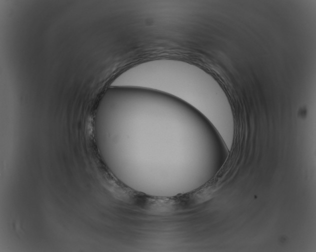 X0000091660621200708230952