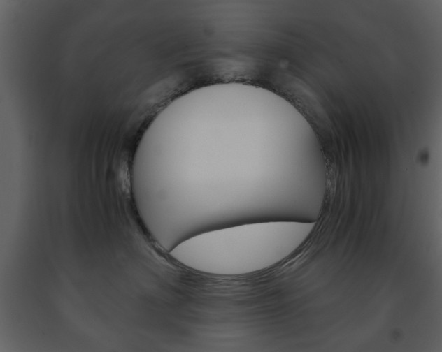 X0000091660622200708230952