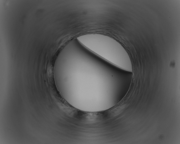 X0000091660623200708230952