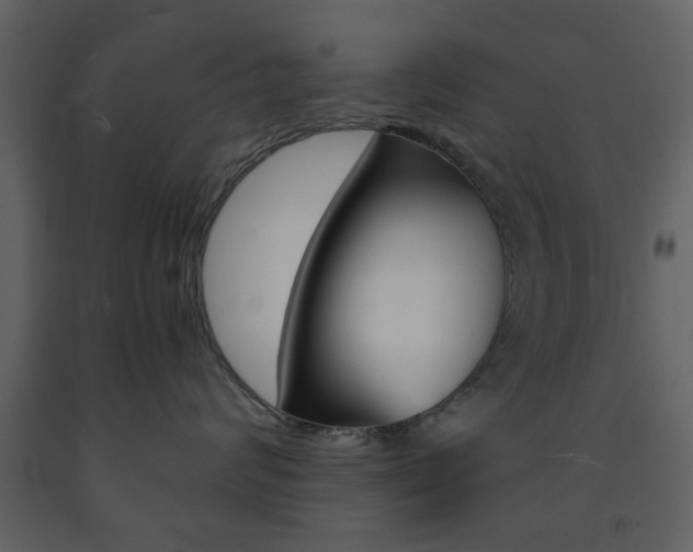 X0000091660624200708230952