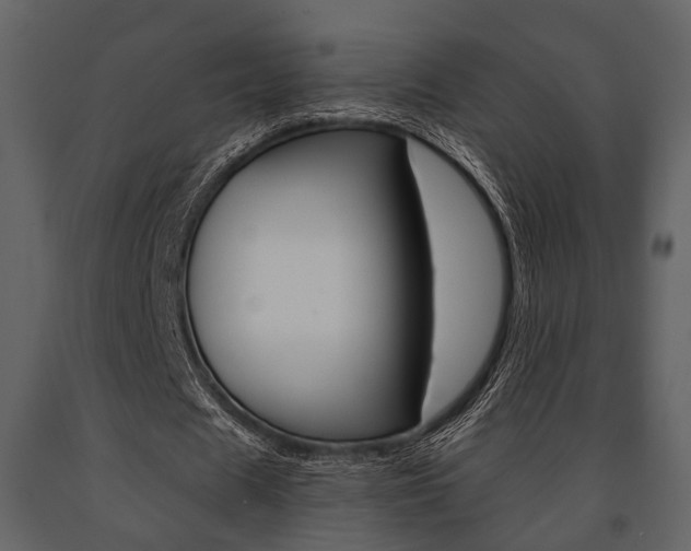 X0000091660625200708230951