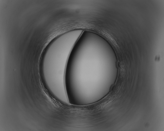 X0000091660626200708230951