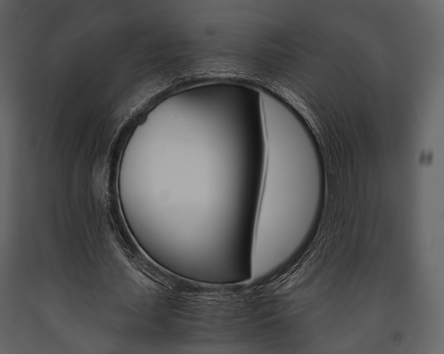 X0000091660627200708230951