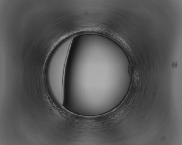 X0000091660628200708230951