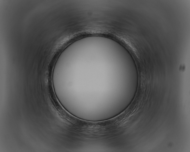 X0000091660631200708230951