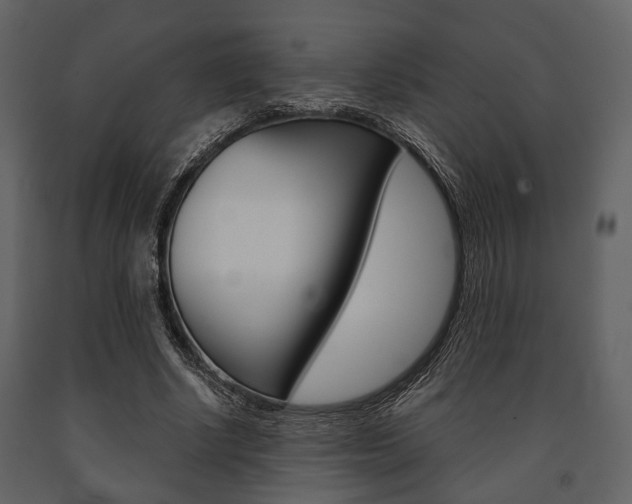X0000091660634200708230951