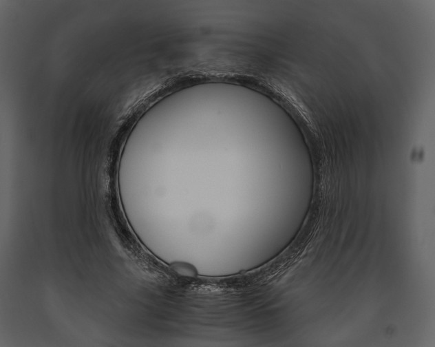 X0000091660635200708230951