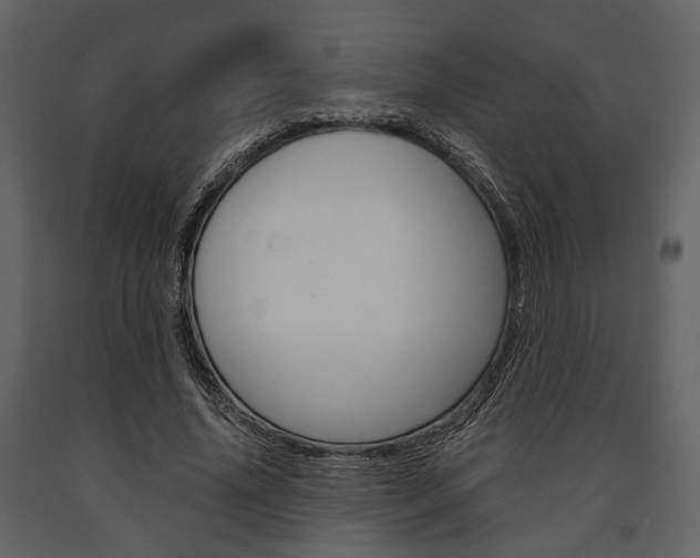 X0000091660636200708230951