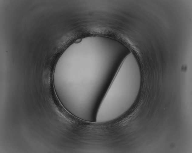 X0000091660637200708230951