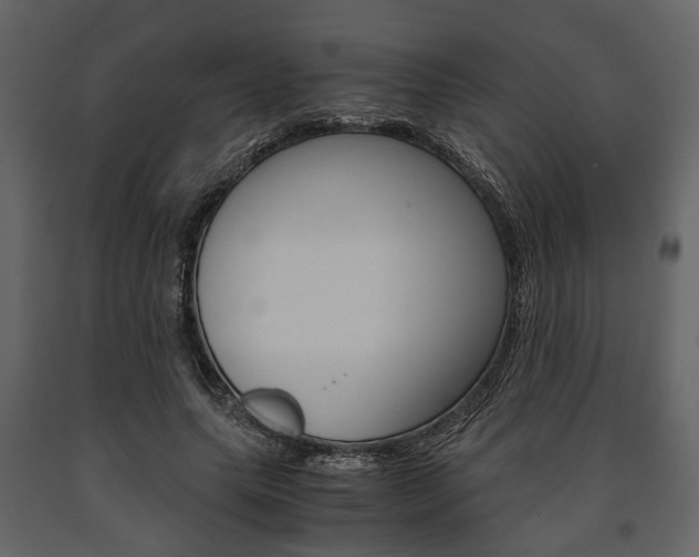 X0000091660639200708230951