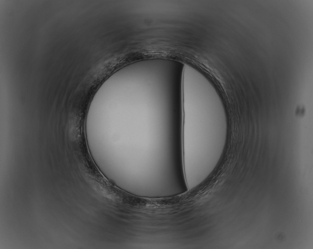 X0000091660641200708230951