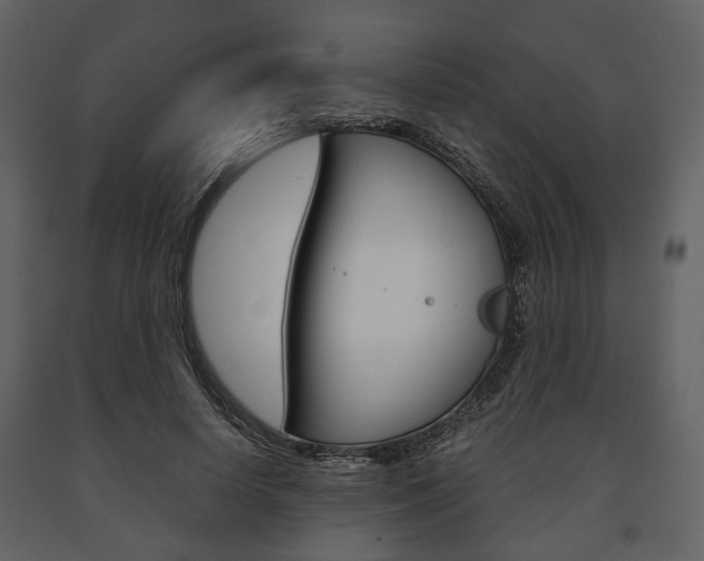 X0000091660642200708230951