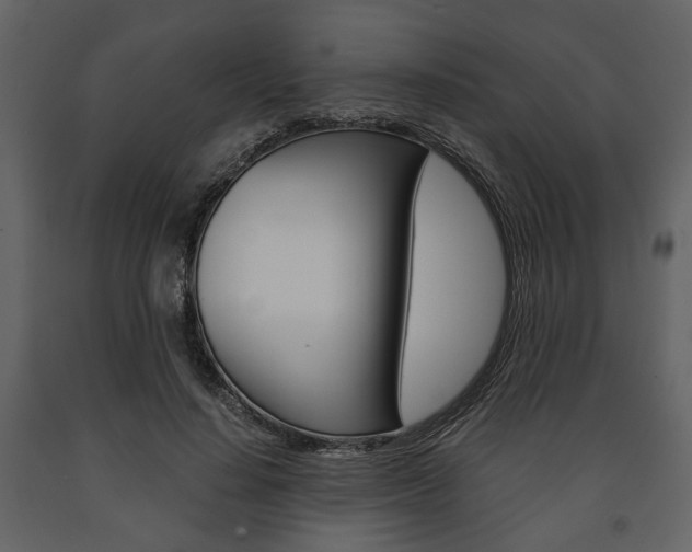 X0000091660644200708230951
