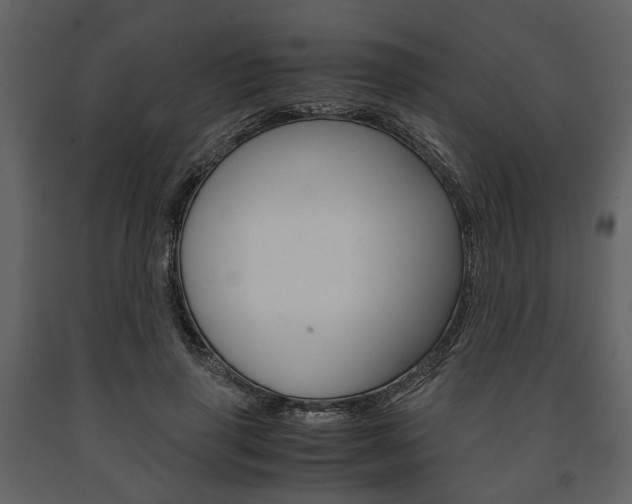 X0000091660645200708230951