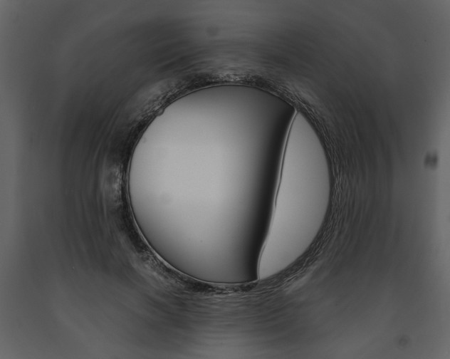 X0000091660646200708230951