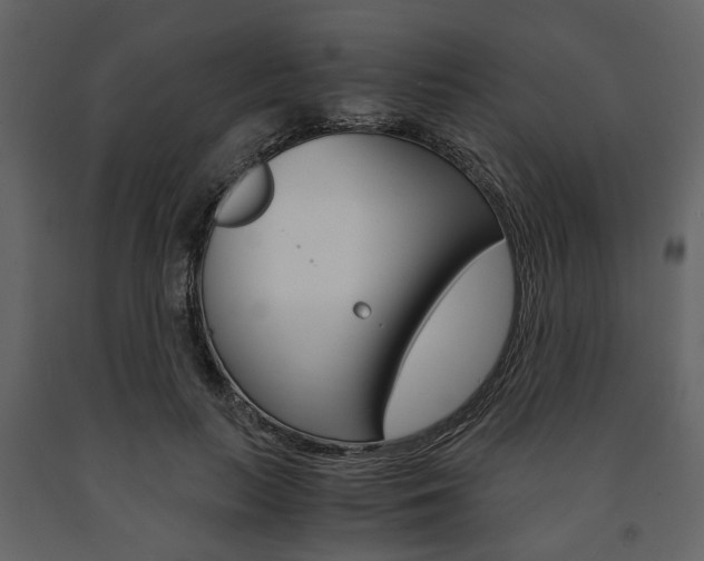 X0000091660647200708230951