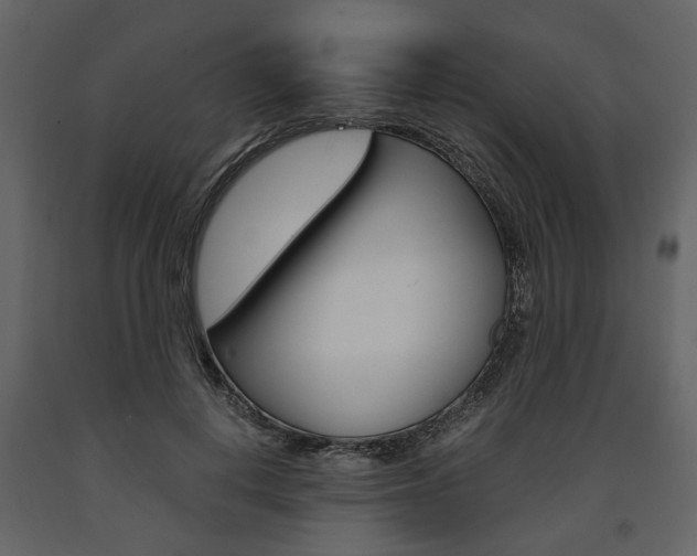 X0000091660648200708230952