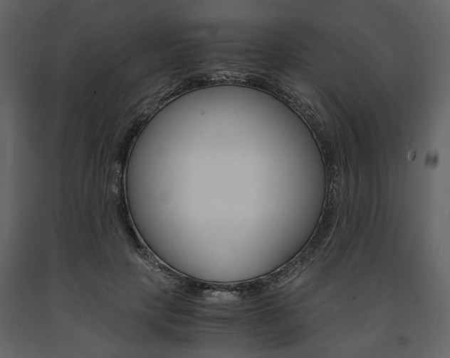 X0000091660649200708230952