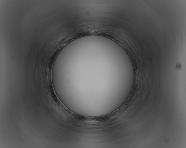 X0000091660650200708230952