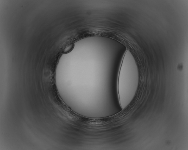 X0000091660653200708230952