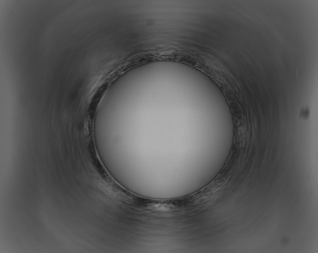 X0000091660654200708230952