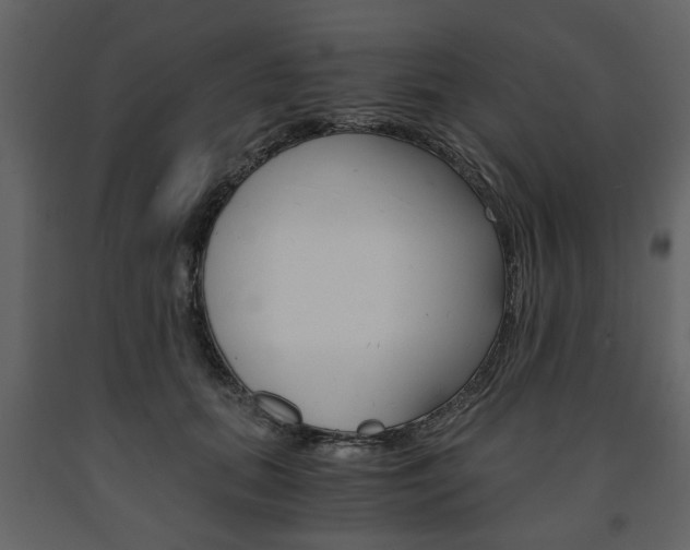 X0000091660655200708230952