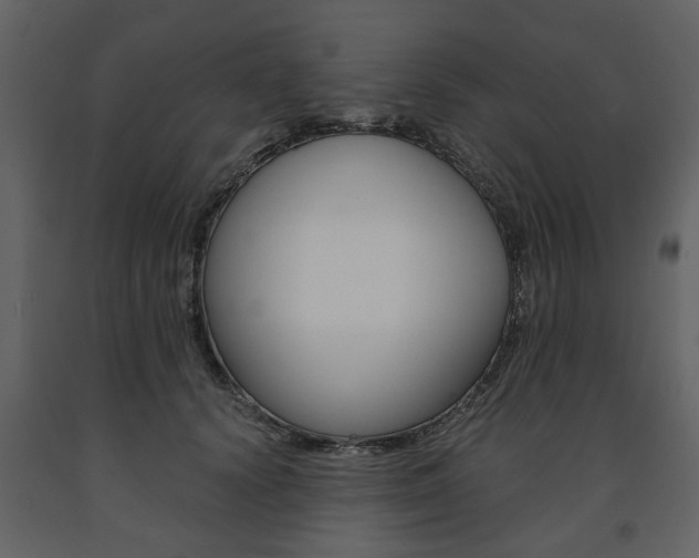 X0000091660656200708230952