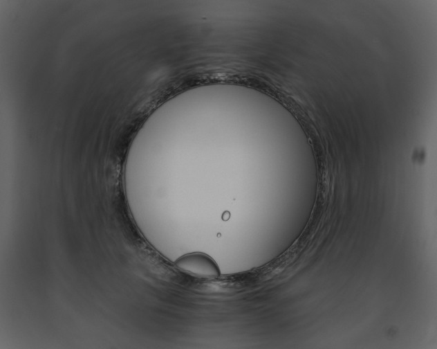 X0000091660657200708230952