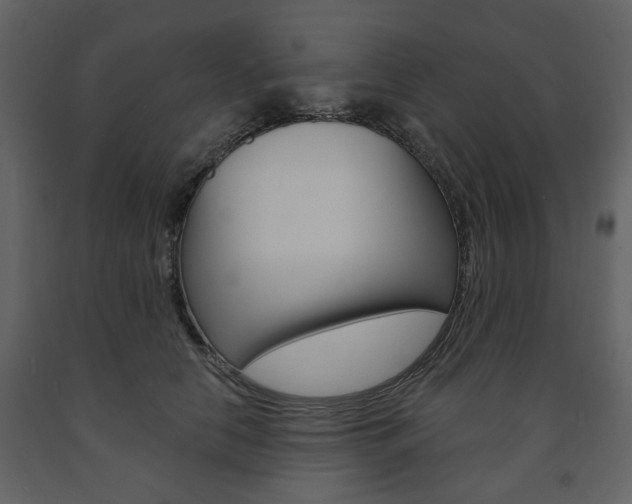 X0000091660658200708230952