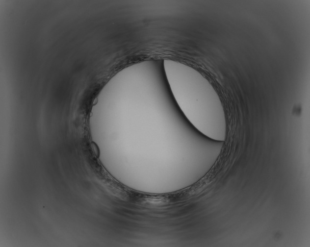 X0000091660659200708230952