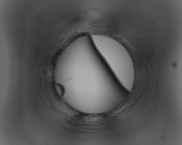 X0000091660661200708230952