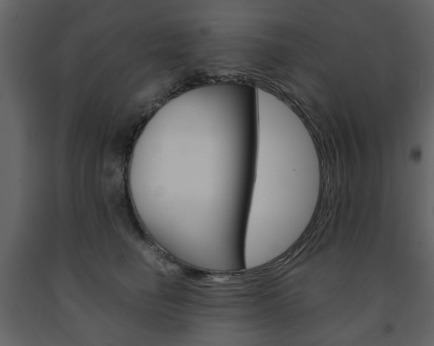 X0000091660662200708230952