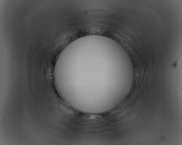 X0000091660663200708230952