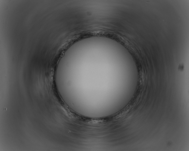 X0000091660664200708230952
