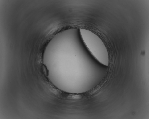 X0000091660665200708230952