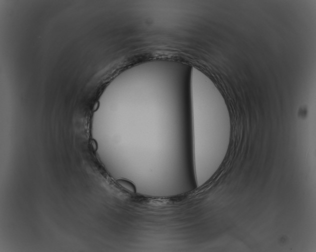 X0000091660666200708230952