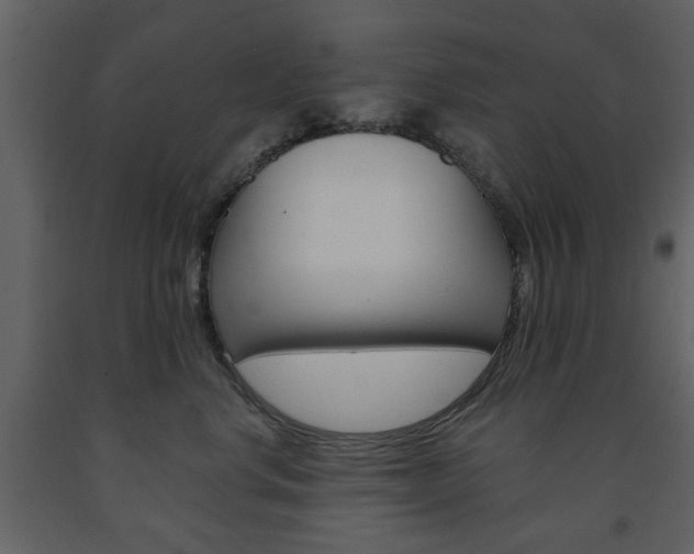 X0000091660668200708230952