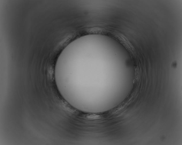 X0000091660669200708230952